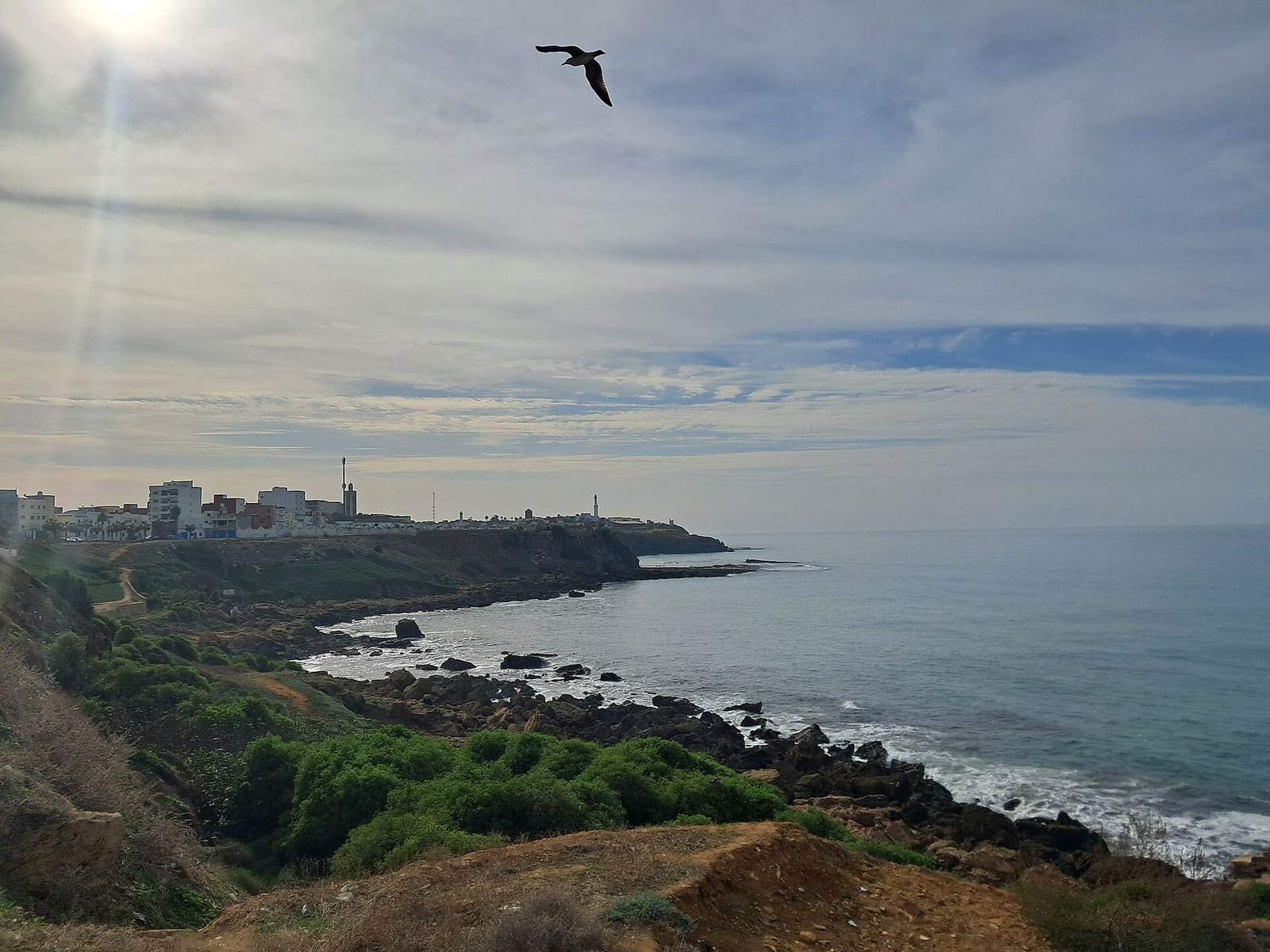 Green cliffs dropping to the Atlantic on the coast of Larache, with waves breaking on the rocks below